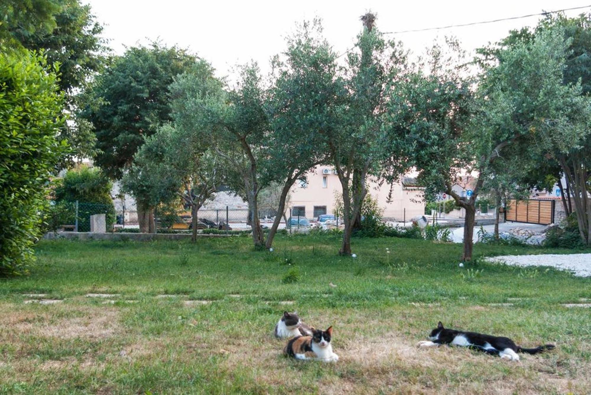 Villa Mediterranea - Apartments Medulin Rom bilde